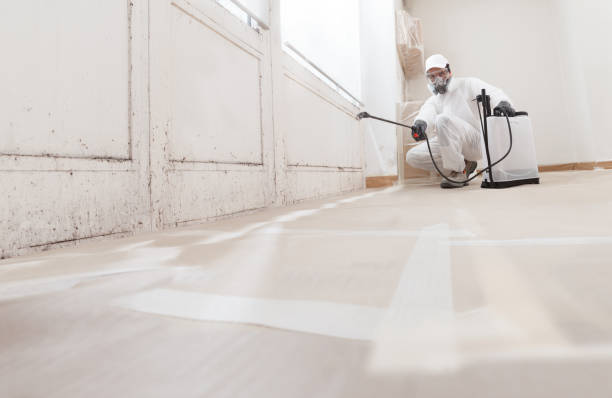24/7 Emergency Mold Removal experts in Palmyra, PA